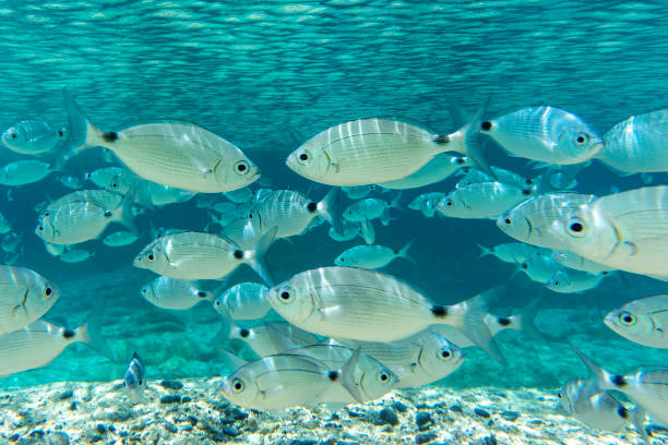 istockphoto-1399150010-612x612
